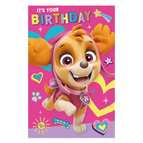Paw Patrol It's Your Birthday Card £1.75